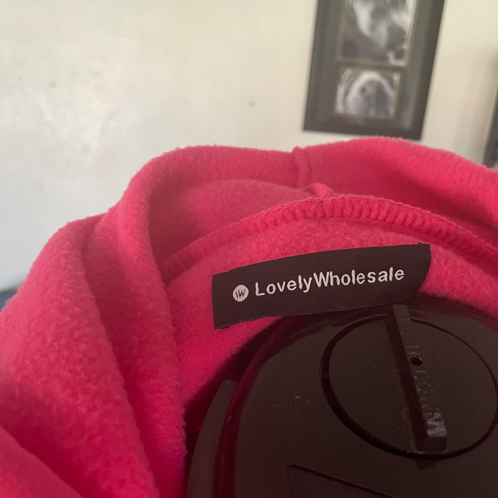 Pink Hoodie - Picture 2 of 3